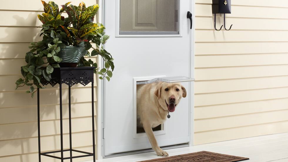 Brindle Pet Supplies  Pet Supplies Delivered to Your Door!