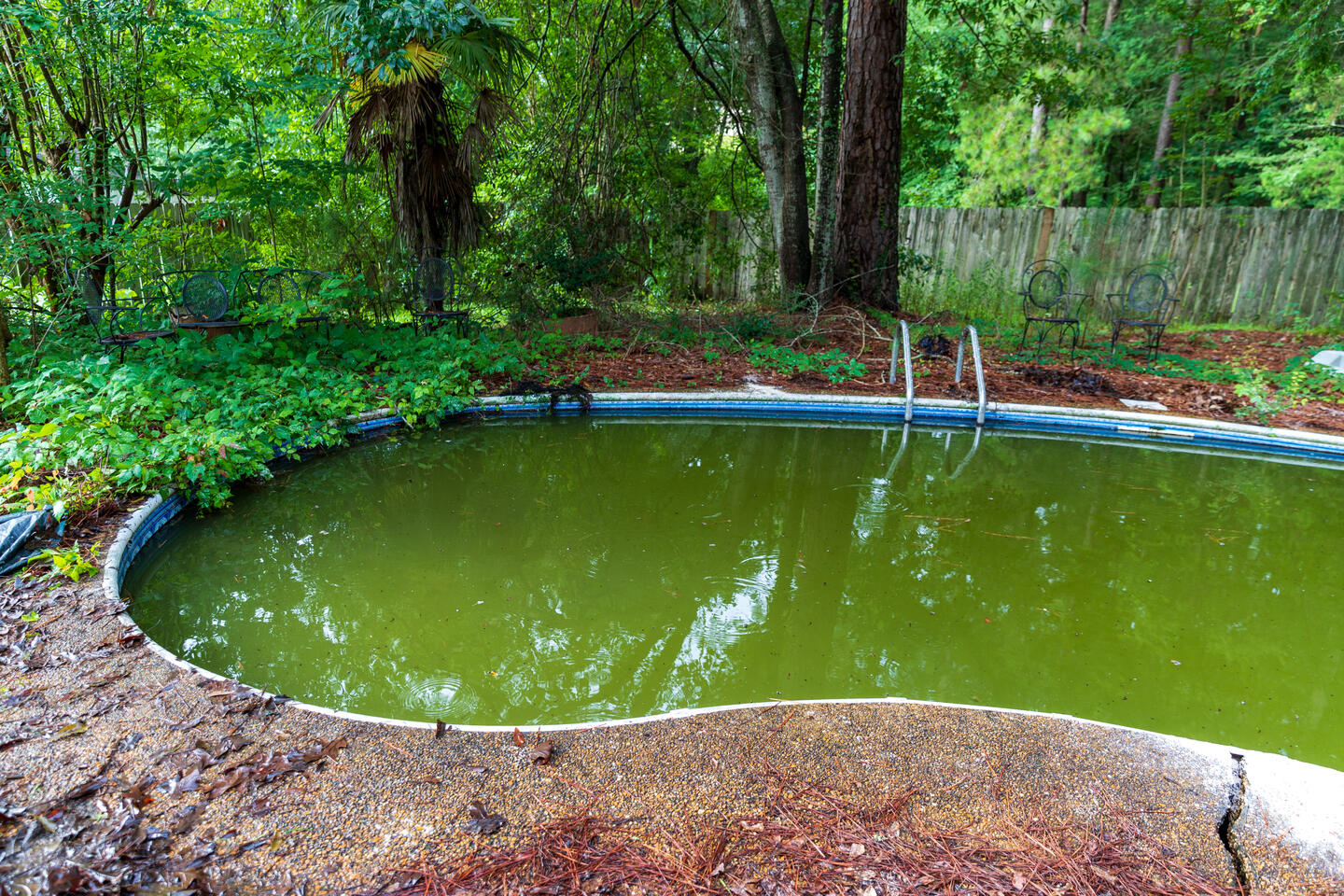 Clear Up Green Water Clear Up Green Water