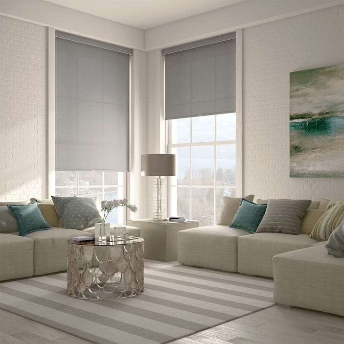 Motorized Shades