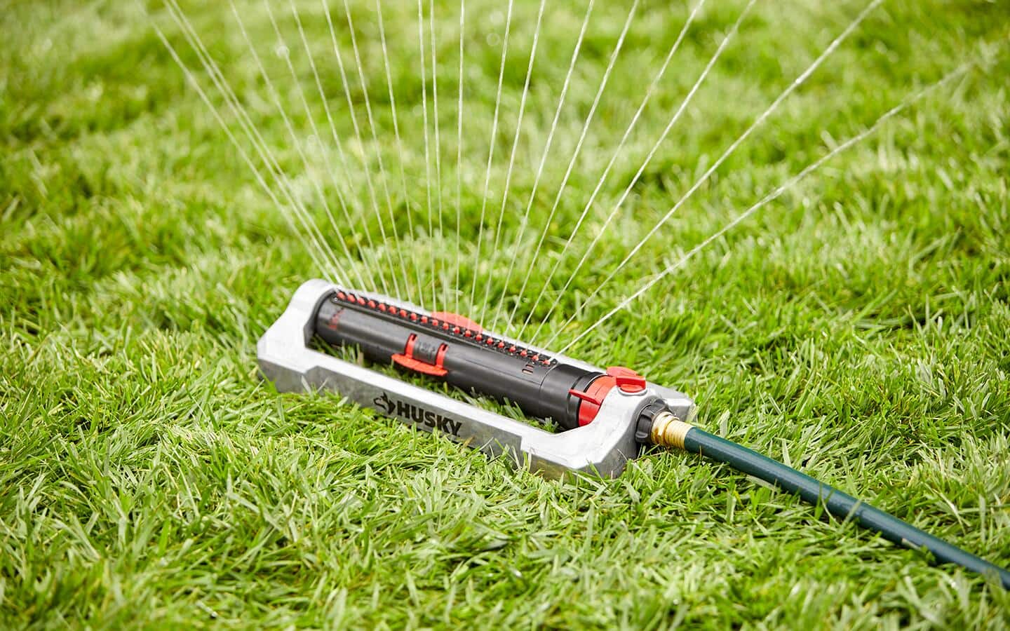 Water shoots from an oscillating sprinkler on a lawn.