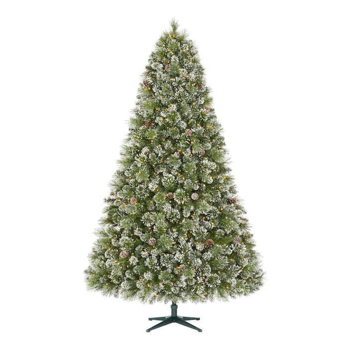 Image for Christmas Trees 