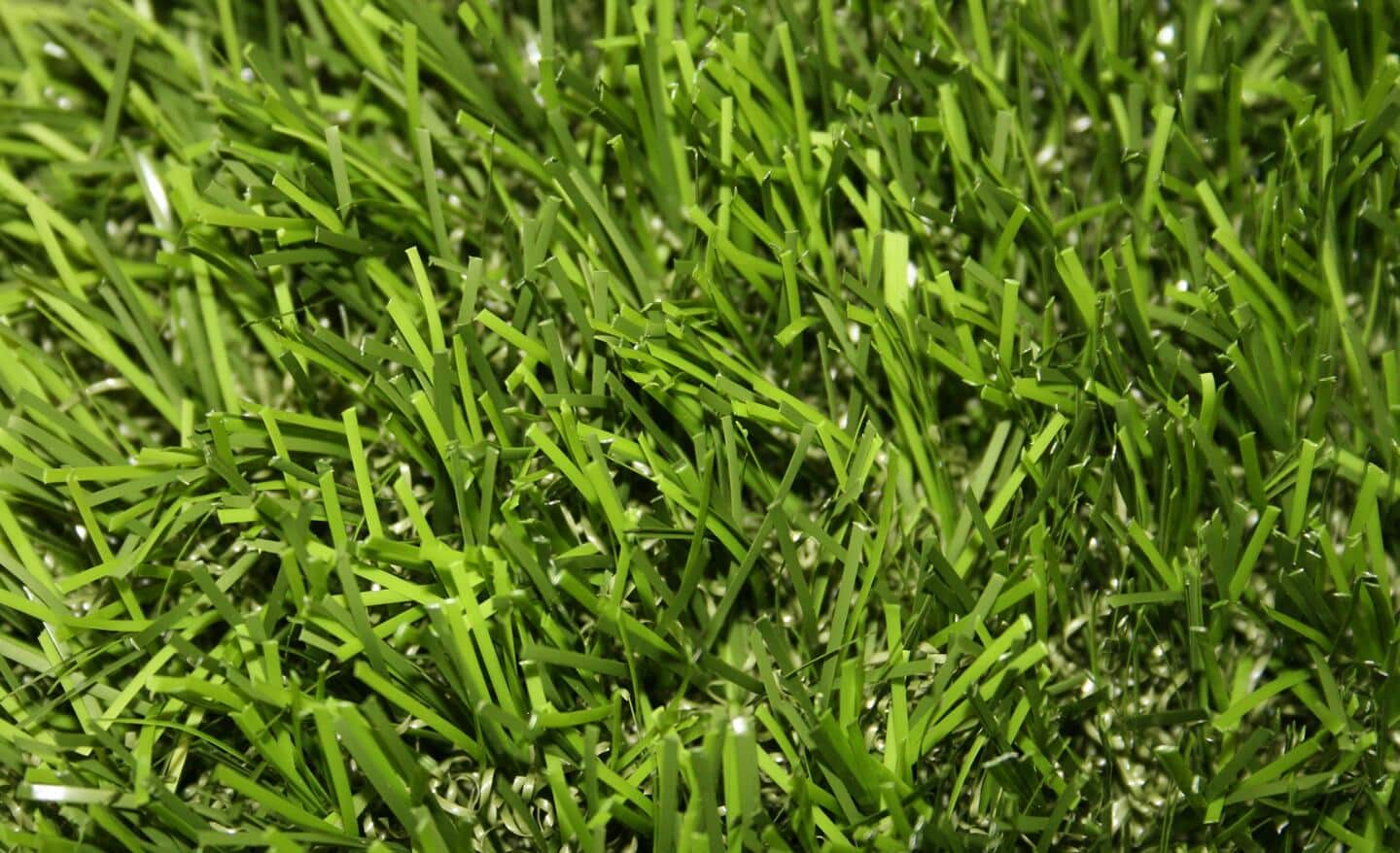 Centipede grass lawn