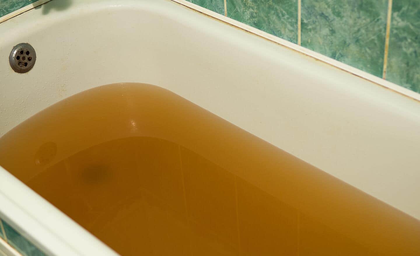Sewage backing up into a bathtub.