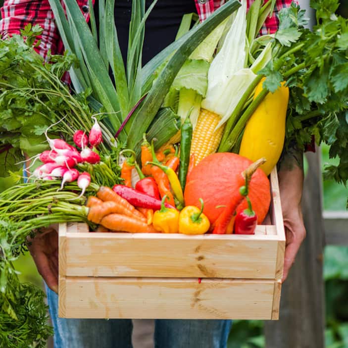 How to Grow, Harvest and Enjoy Your Vegetable Garden