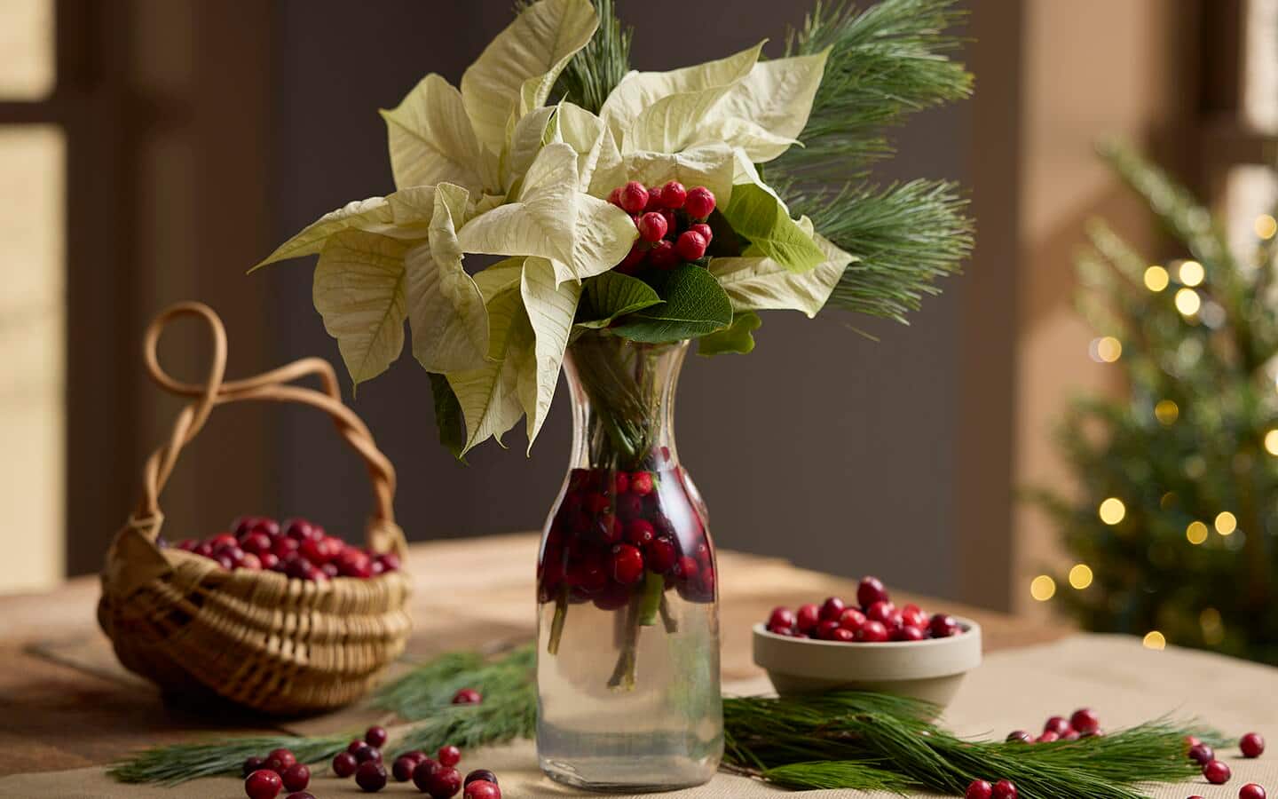 White poinsettia blooms and fresh cranberries with a floral sprig of red berries in a glass vase on a table White poinsettia blooms and fresh cranberries with a floral sprig of red berries in a glass vase on a table