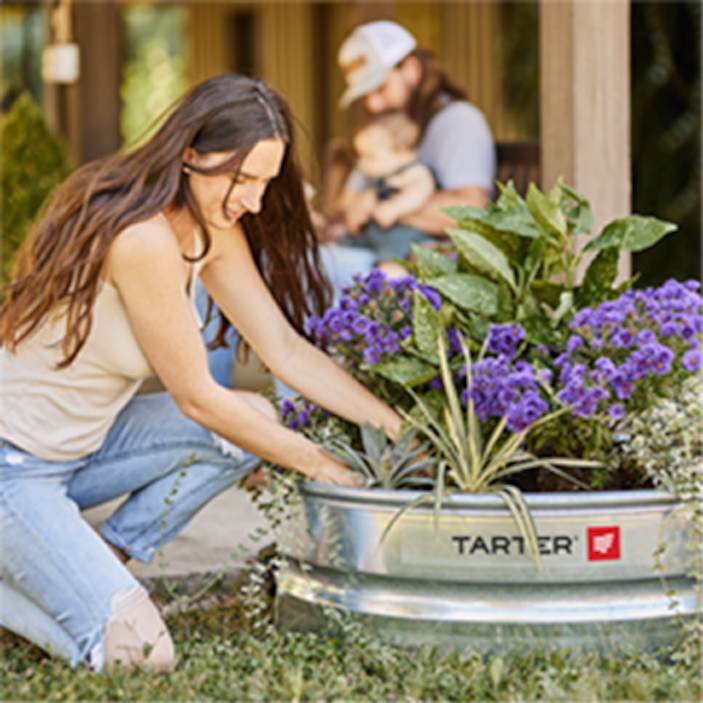 Planting plants in a raised planter
