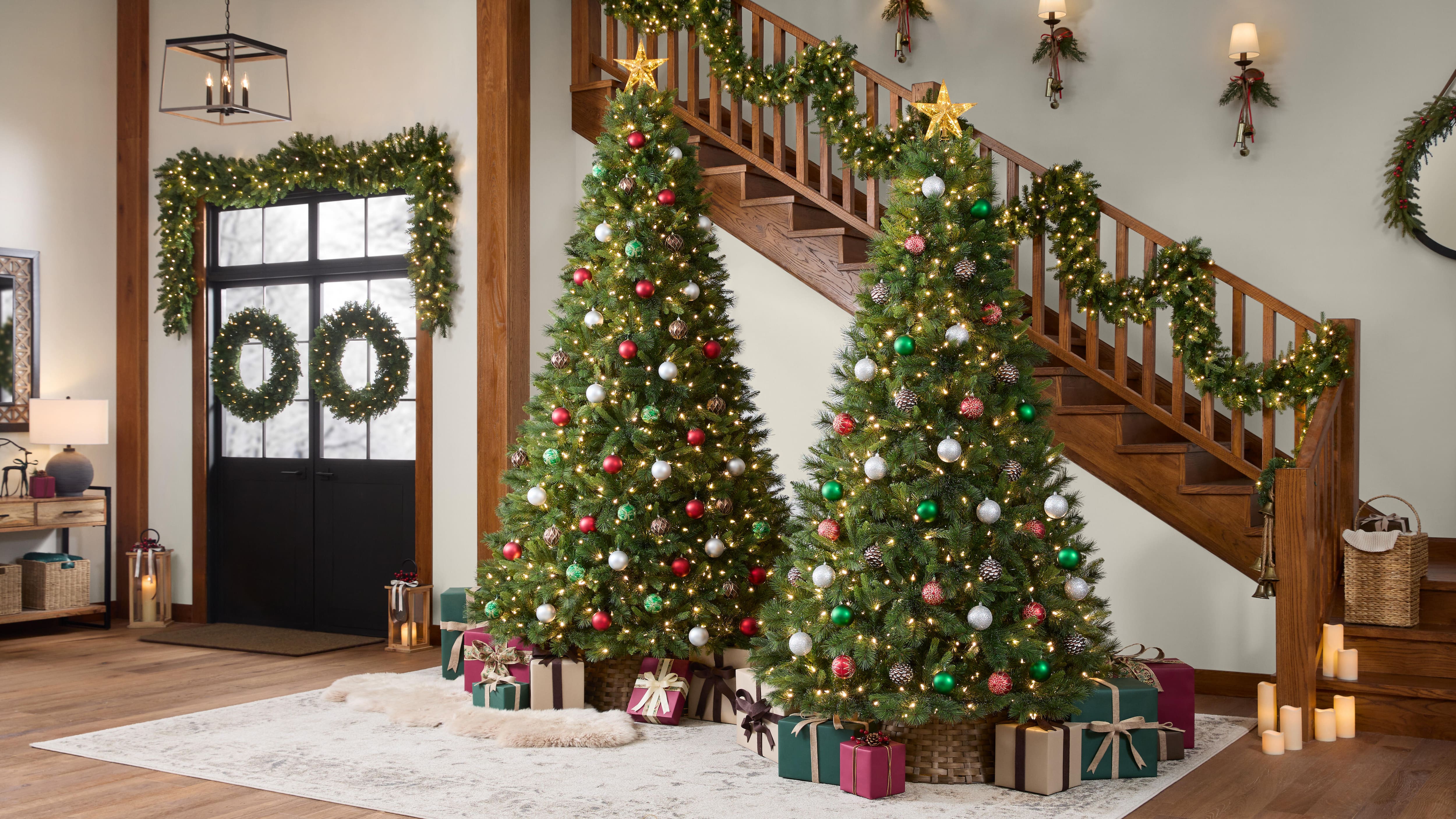 Image for The Forest Collection