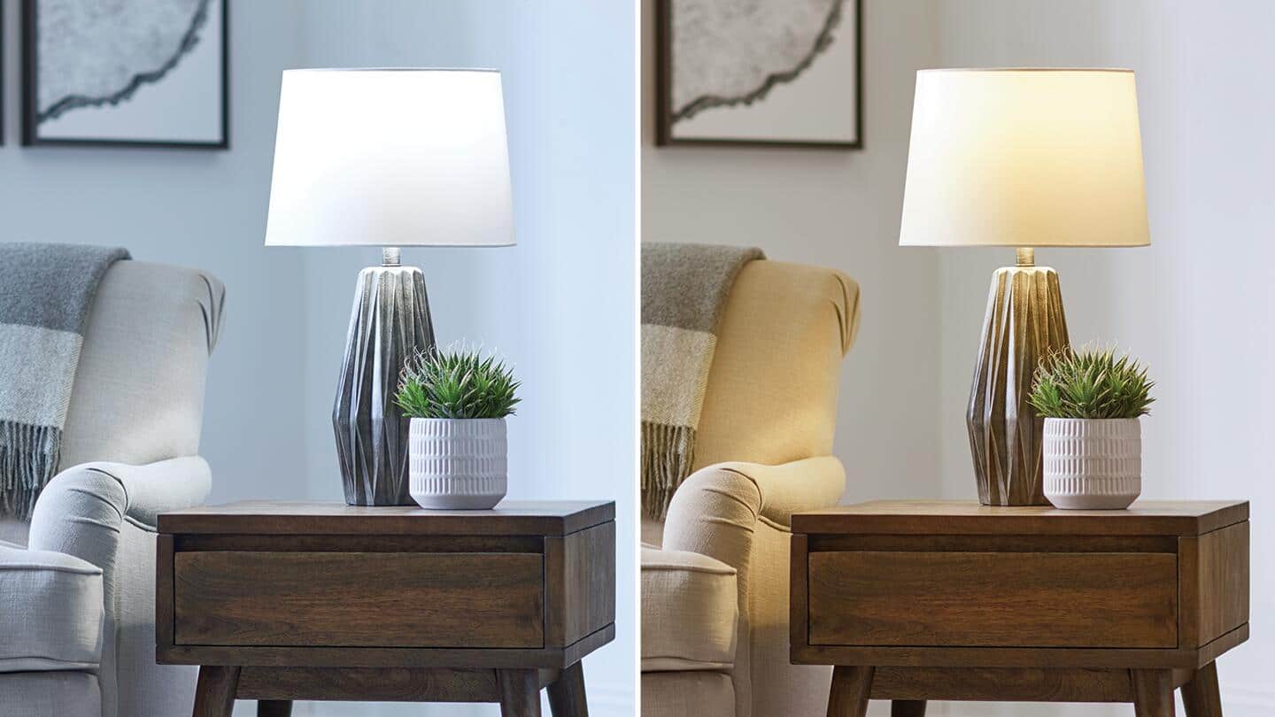 Daylight Bulbs vs Soft White Bulbs