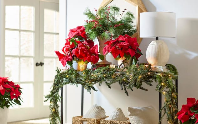 Christmas Ideas & Projects