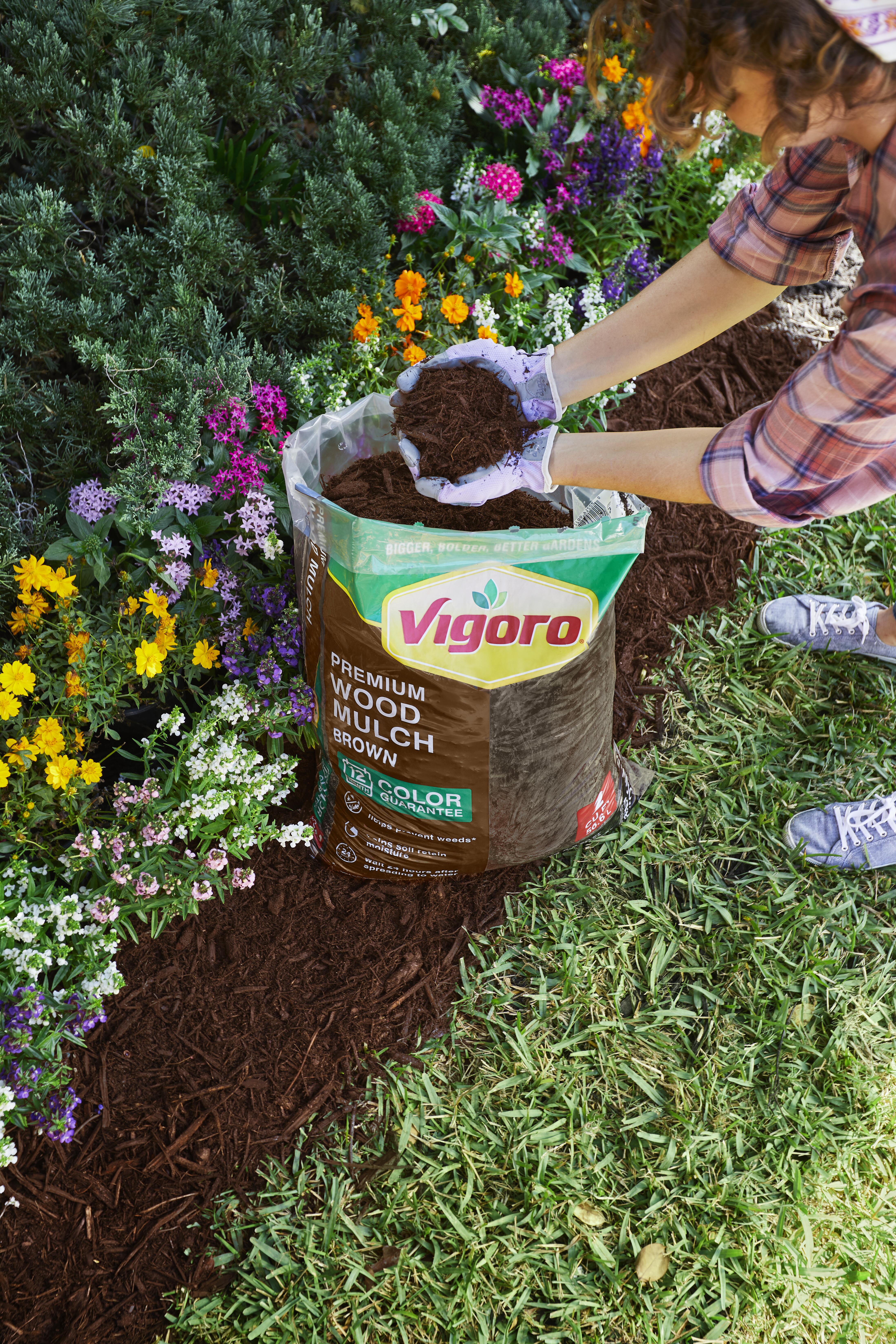 How to Mulch Your Yard