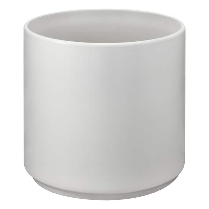 Modern Minimalist