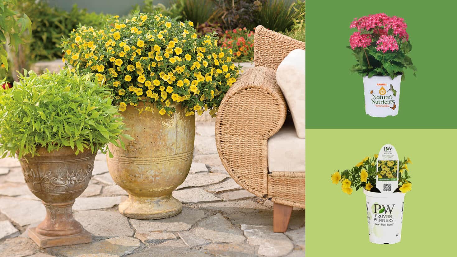 Image for ADD SEASONAL COLOR