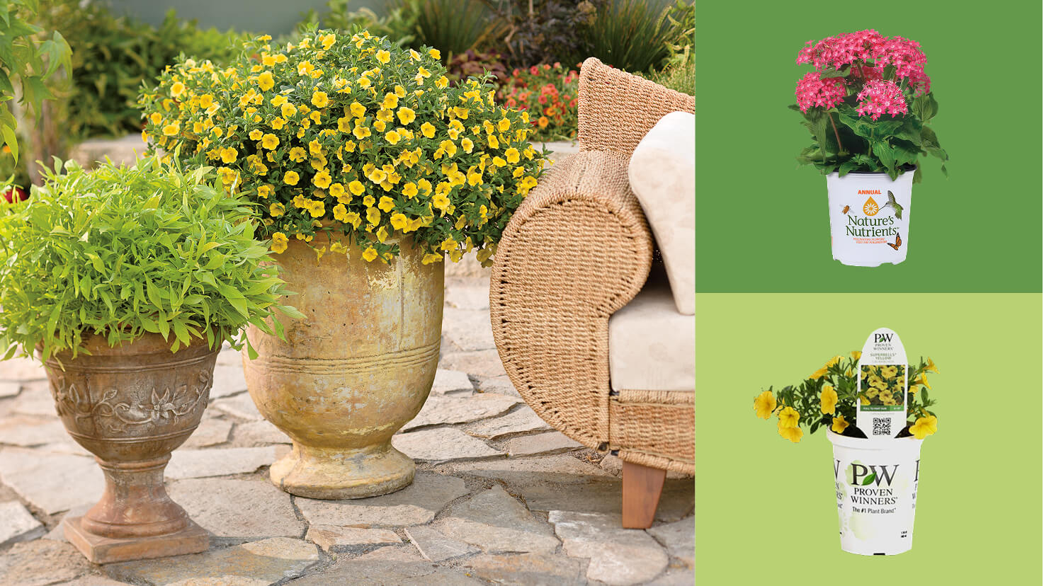 Image for ADD SEASONAL COLOR ADD SEASONAL COLOR
