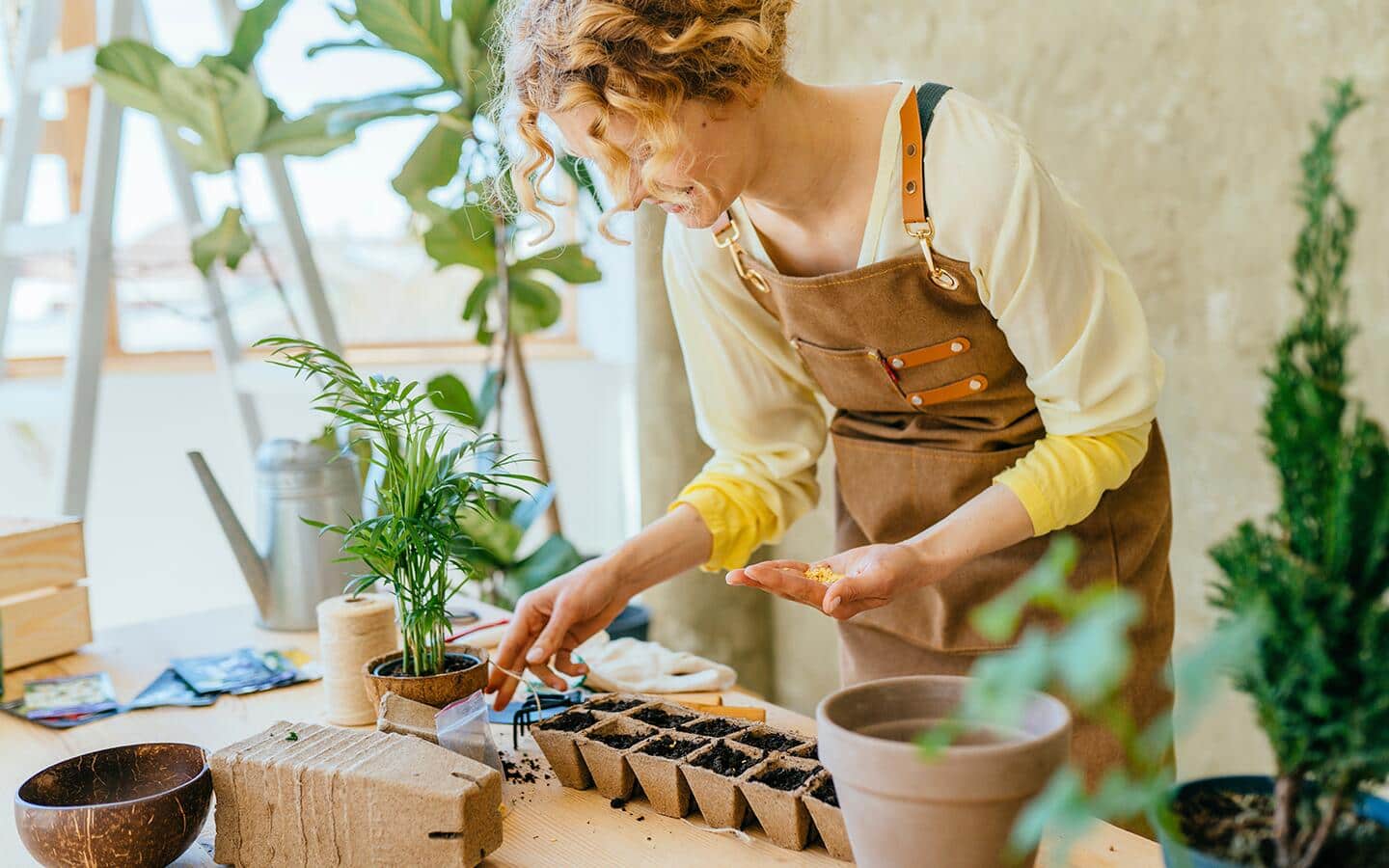 Someone planting seeds in a seed starter kit indoors. Someone planting seeds in a seed starter kit indoors.