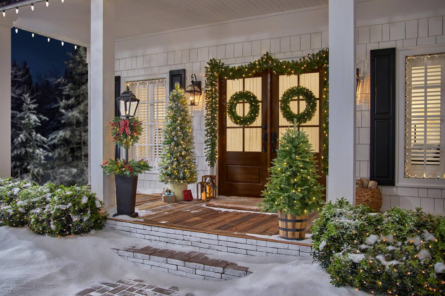 Live christmas trees outlet at home depot