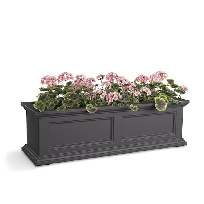 Window Boxes
