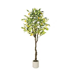 Image for Lemon Trees