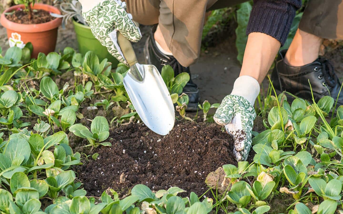 A person digs into soil with a trowel.