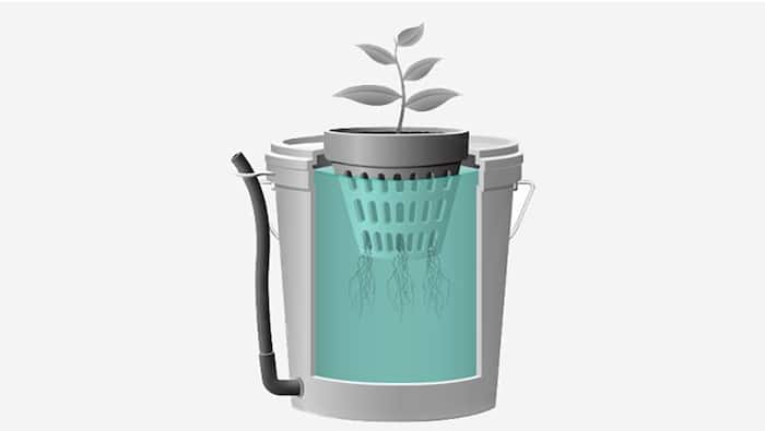 Deep Water Systems 