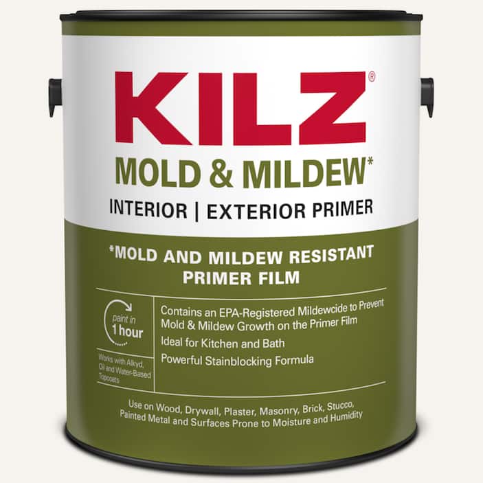 Mold & Mildew