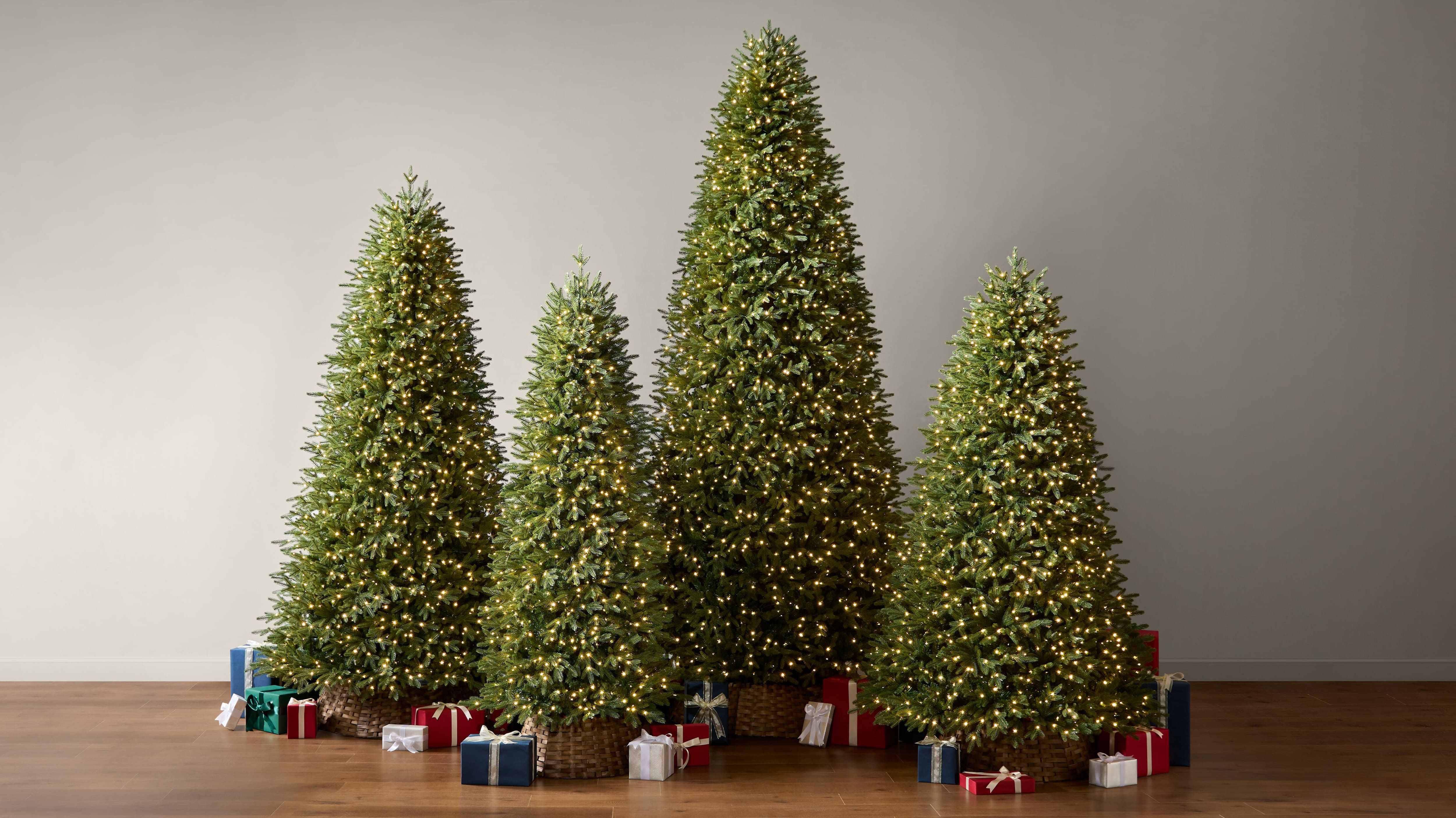 Image for The Jackson Collection