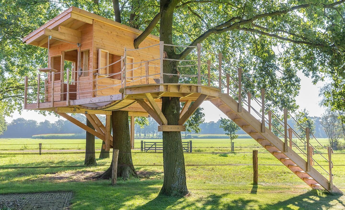 Treehouse in a backyard