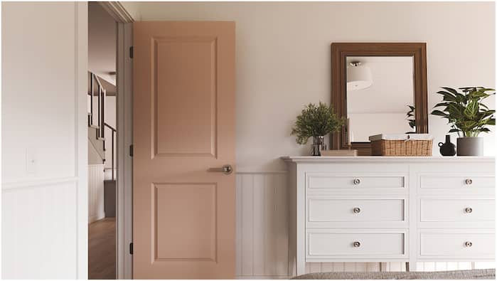 ProCore® Solid Core Interior Doors