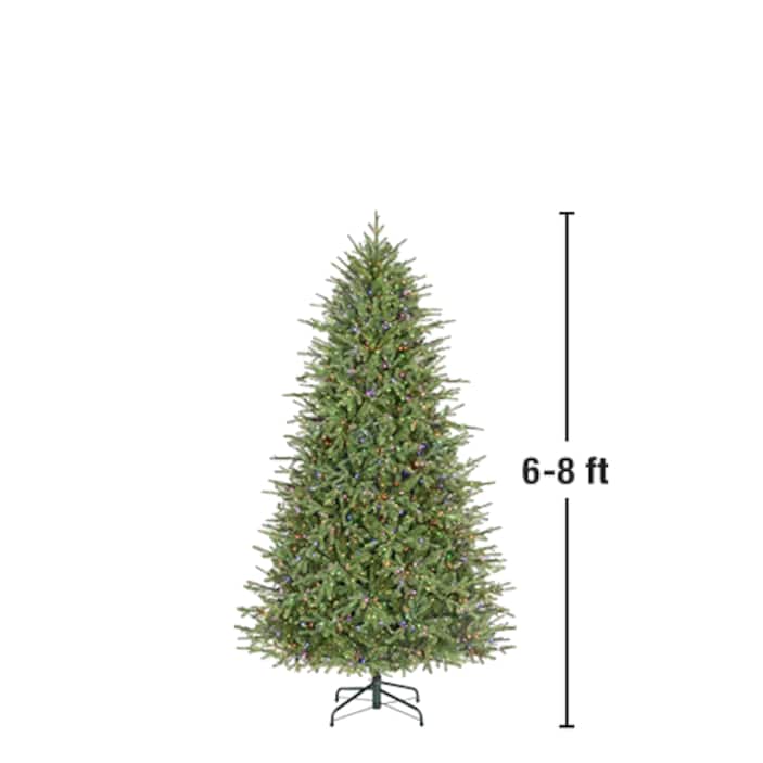 6 - 8 ft.