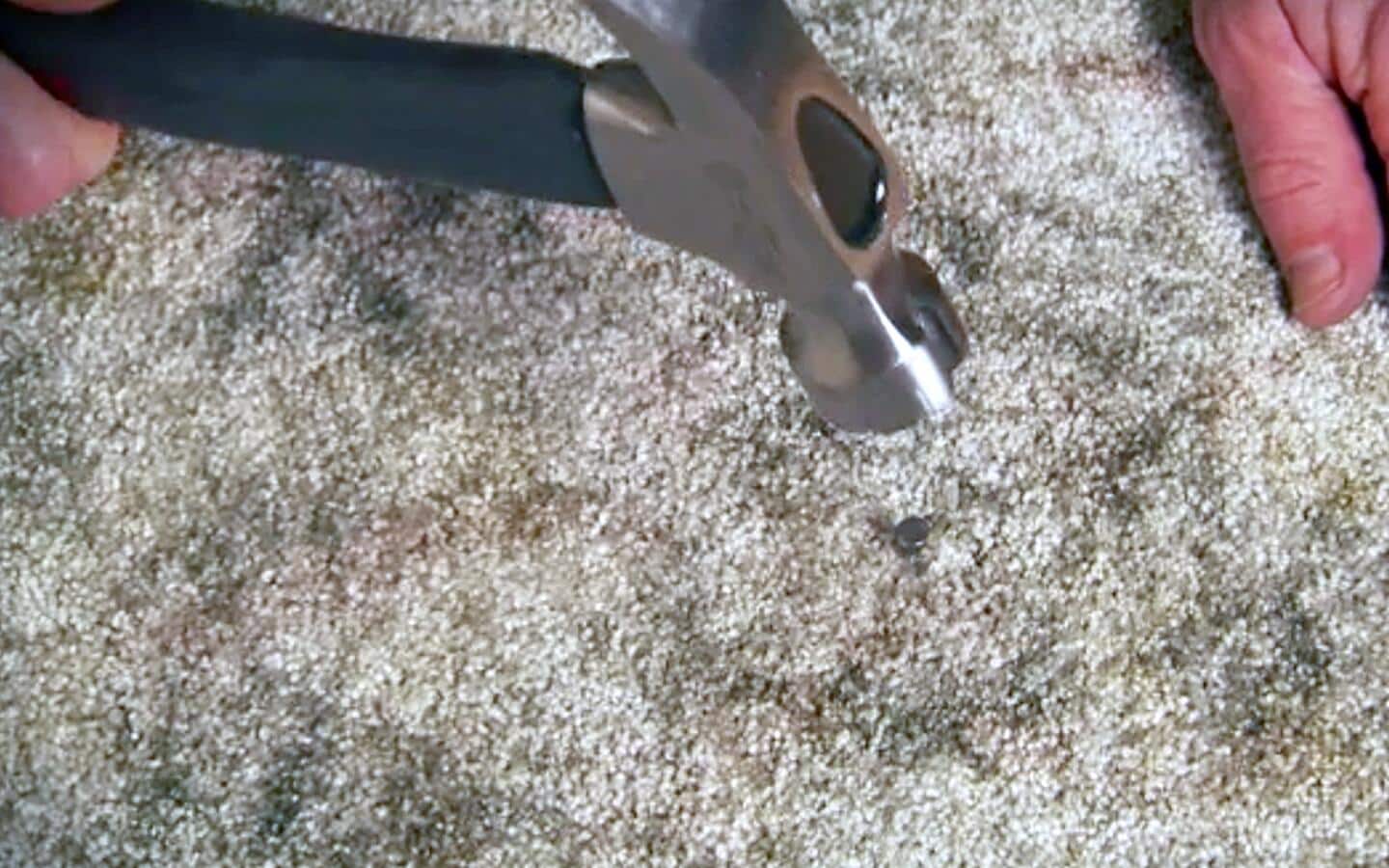 An individual hammering nails into carpeting covering a hardwood floor.