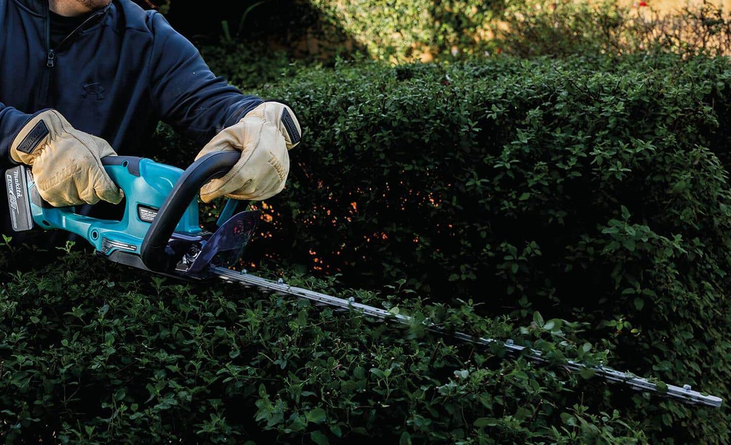 A person trimming hedges with a cordless hedge trimmer. A person trimming hedges with a cordless hedge trimmer.