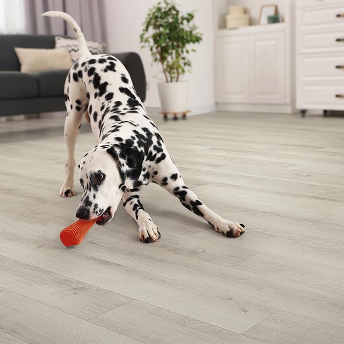 Hybrid Resilient Flooring