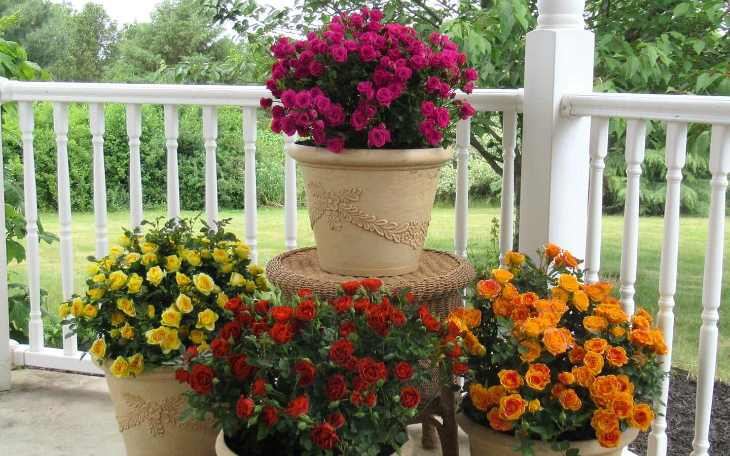 planter pot set Gift Set of 3 -2" White Ceramic Pots W/ Gold Rim