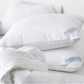 Image for Bed Pillows