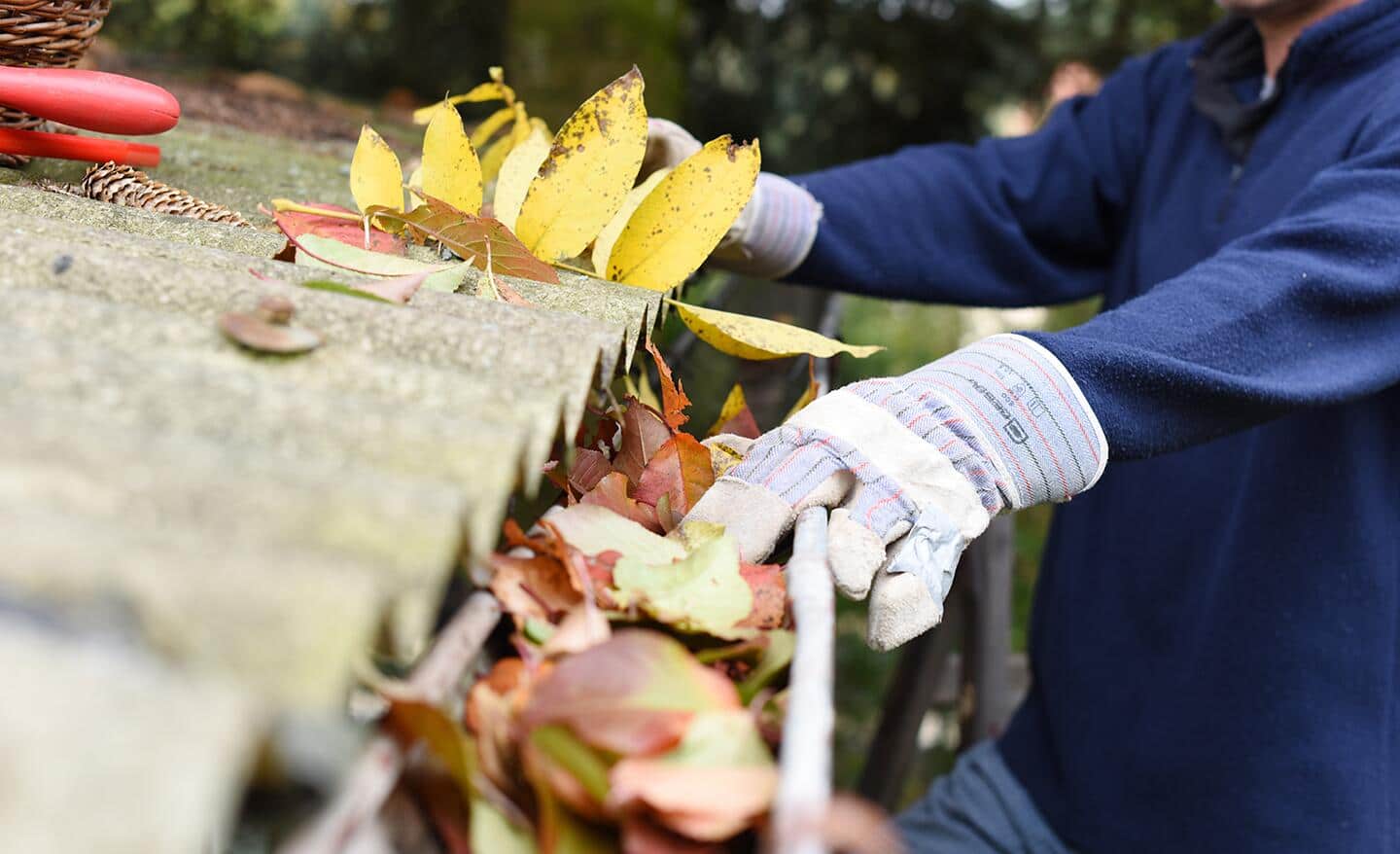 A gloved hand cleaning a gutter clogged with leaves.