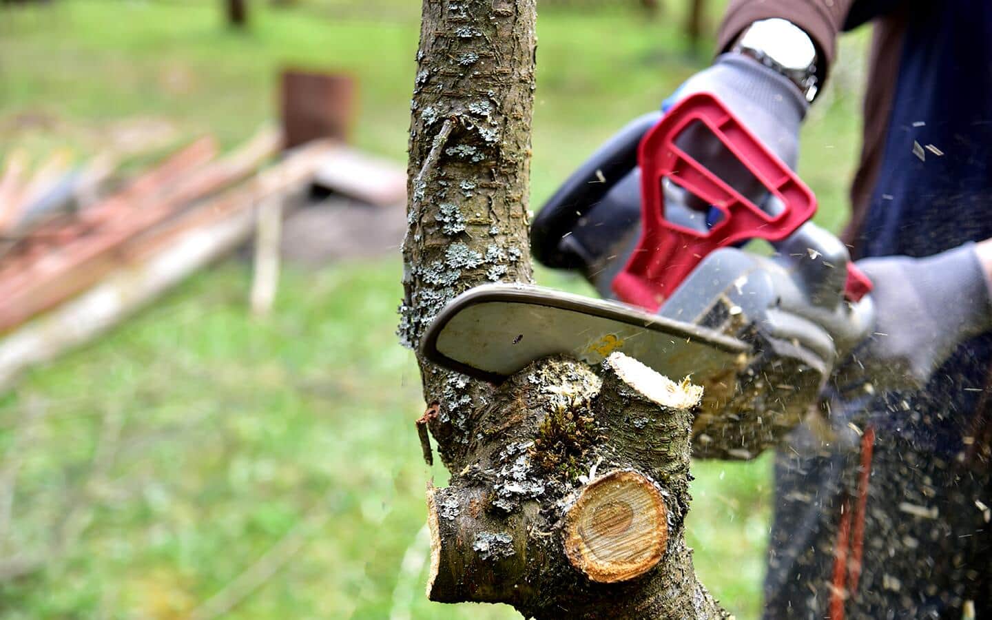 A person trimming a log with a power tool. A person trimming a log with a power tool.
