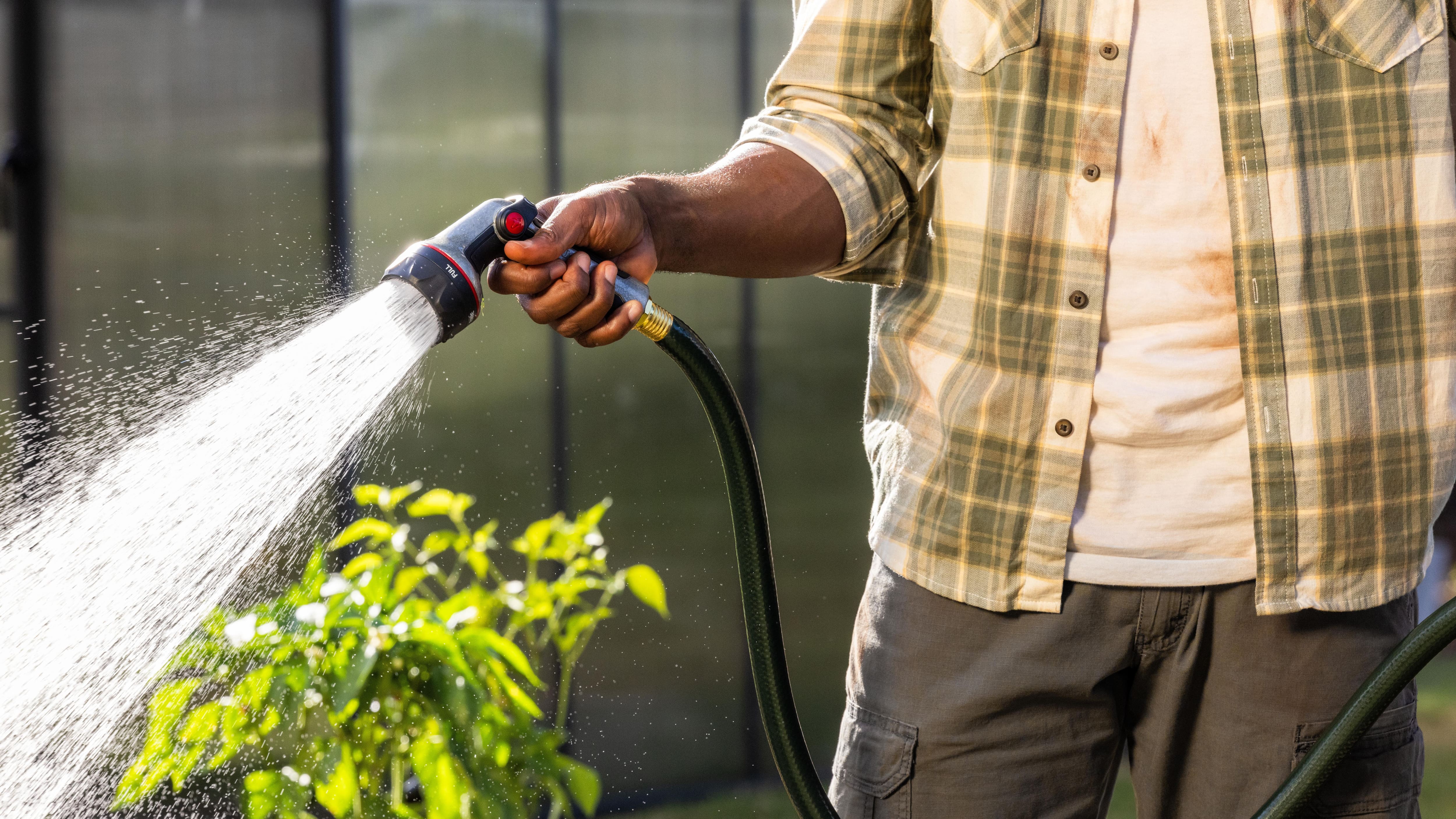 Image for MAINTAIN YOUR LUSH LANDSCAPE