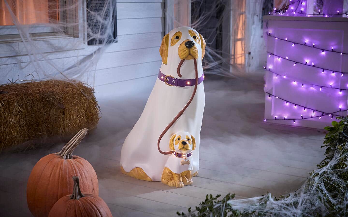 A costumed retriever and its pup sit on a Halloween porch. A costumed retriever and its pup sit on a Halloween porch.