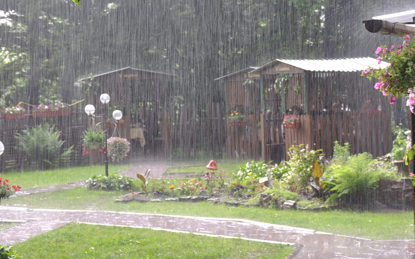 Rain pouring on a home and garden.