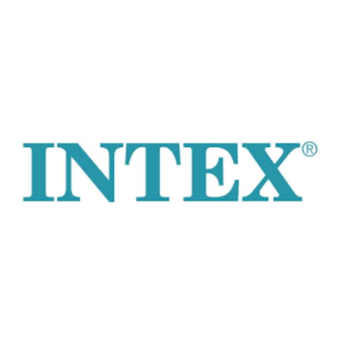 Intex Logo