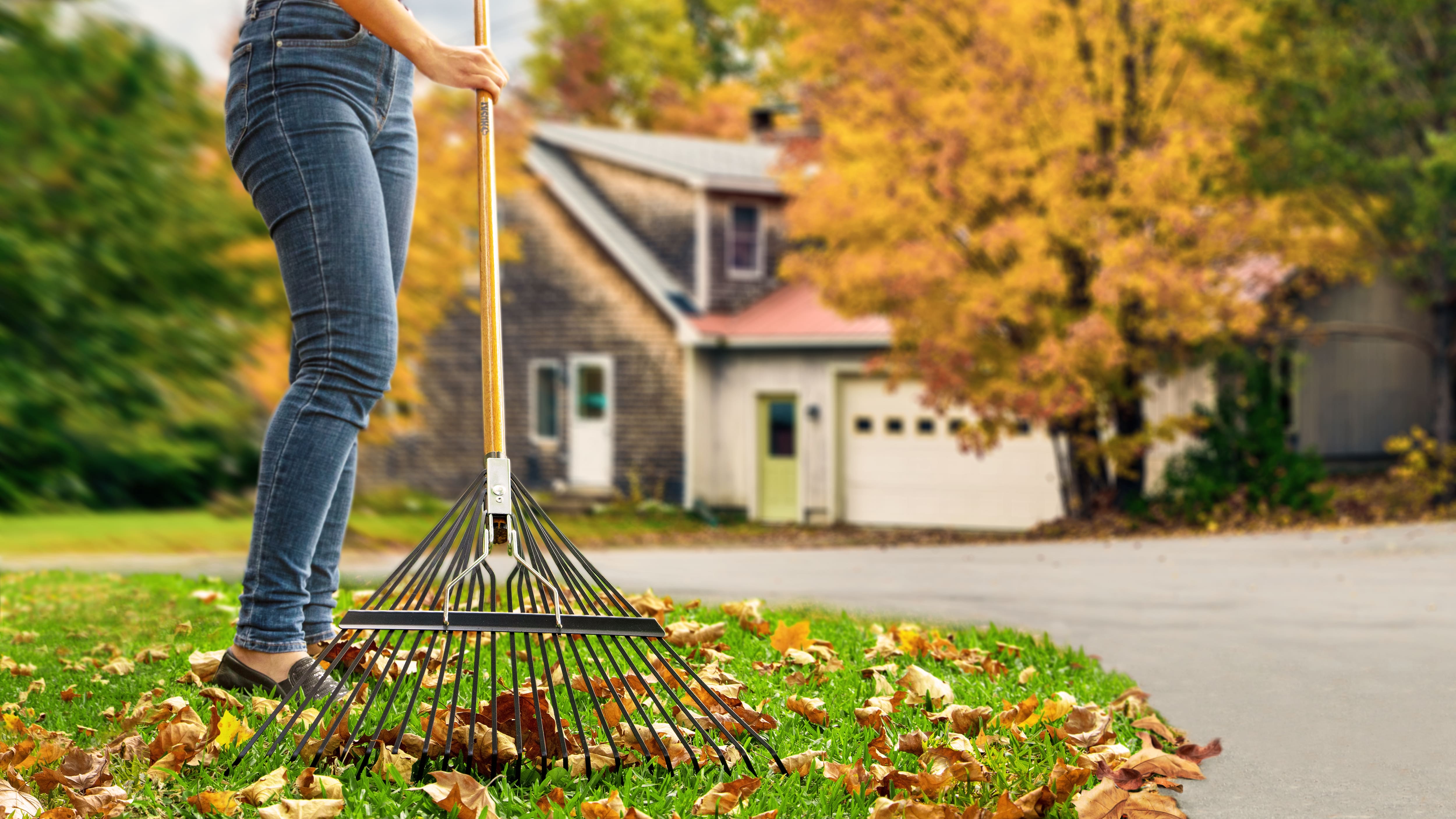 What Tools Do You Need to Build a Garden: Essential Guide