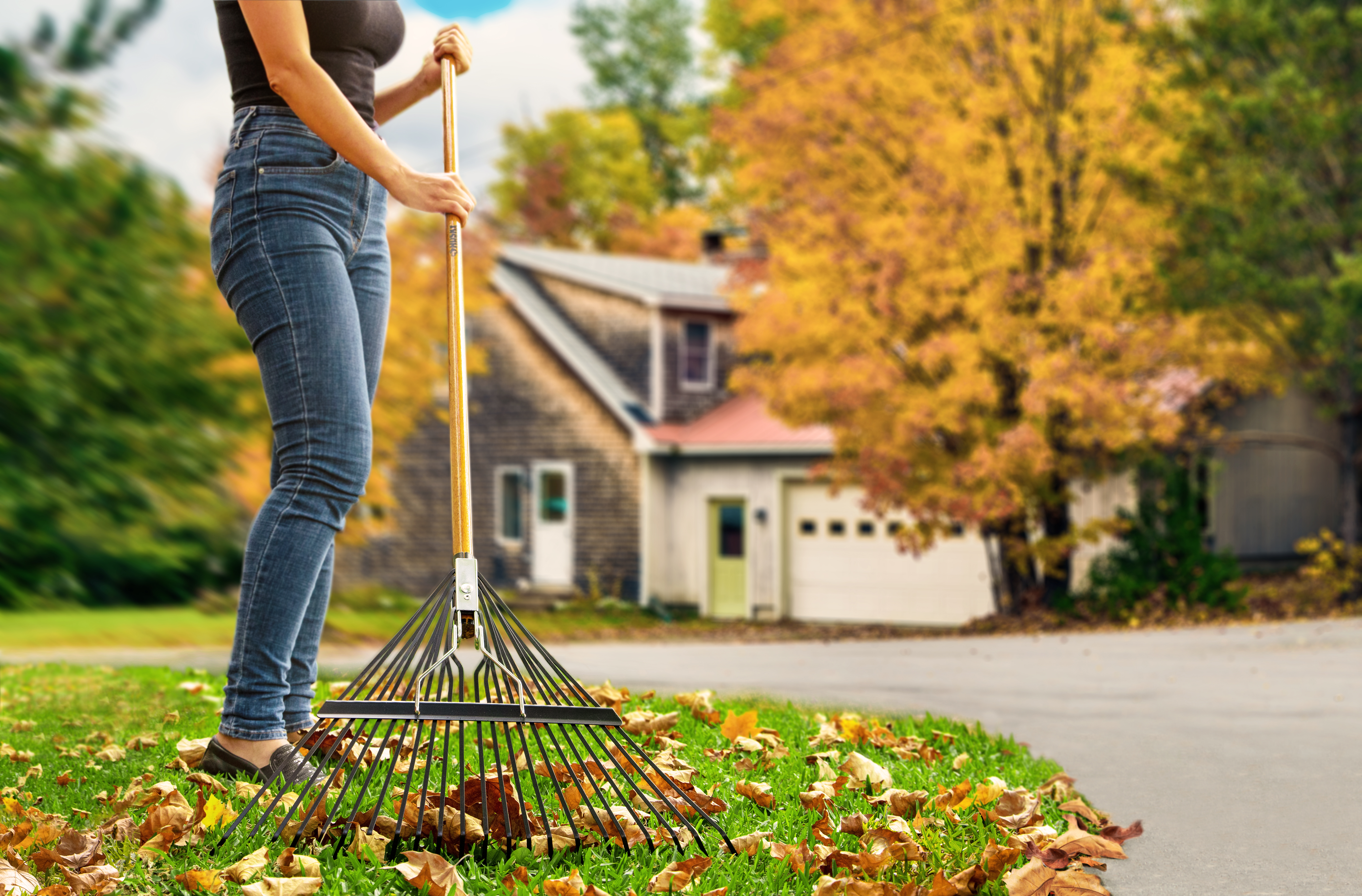What Tools Do You Need to Build a Garden: Essential Guide
