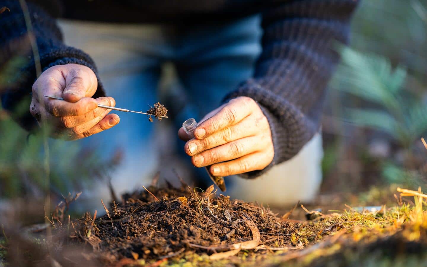 Someone testing soil with a kit before planting a tree.