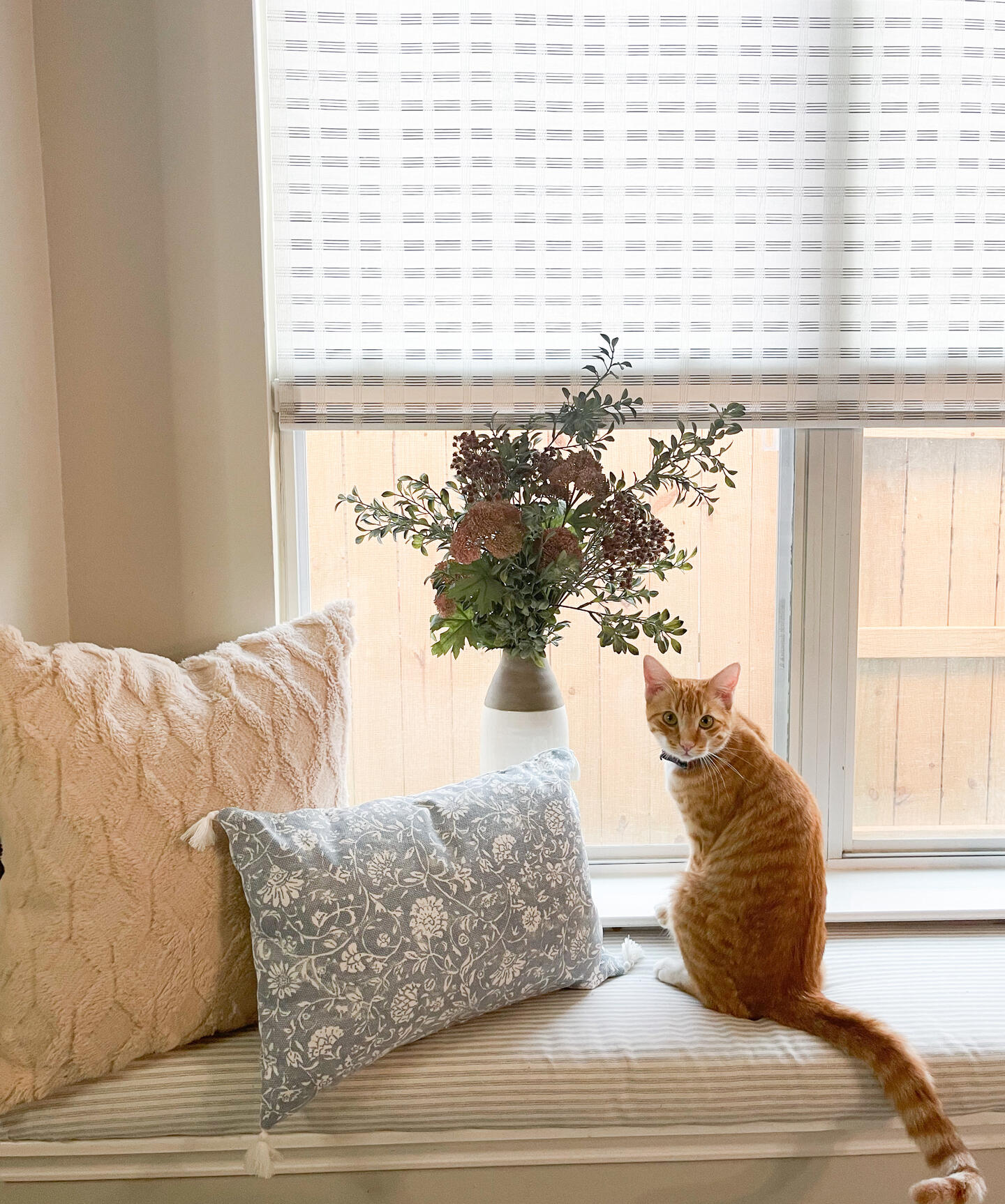 Pet supplies home deals depot