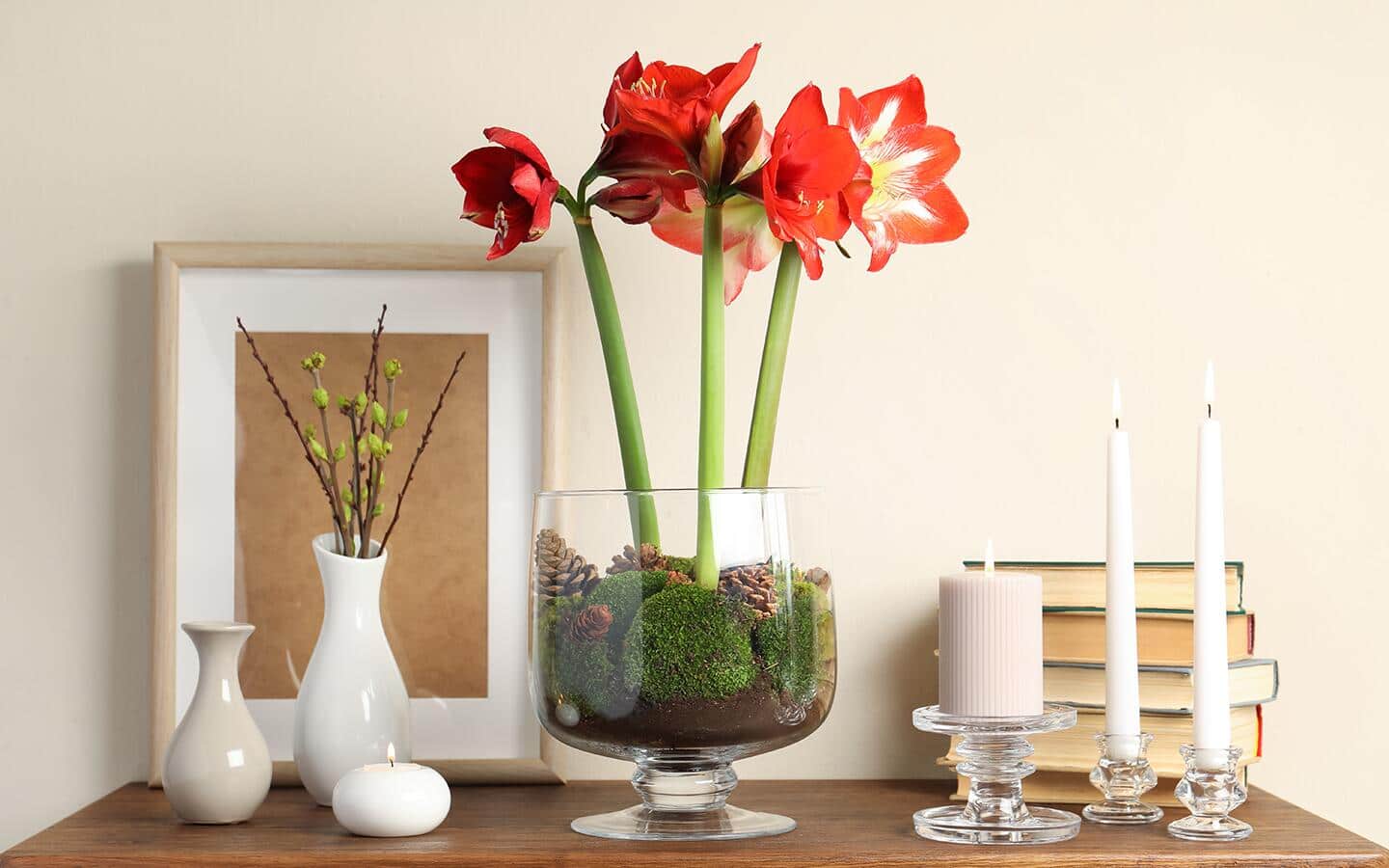 Red and white amaryllis blooms in a glass container on a table Red and white amaryllis blooms in a glass container on a table