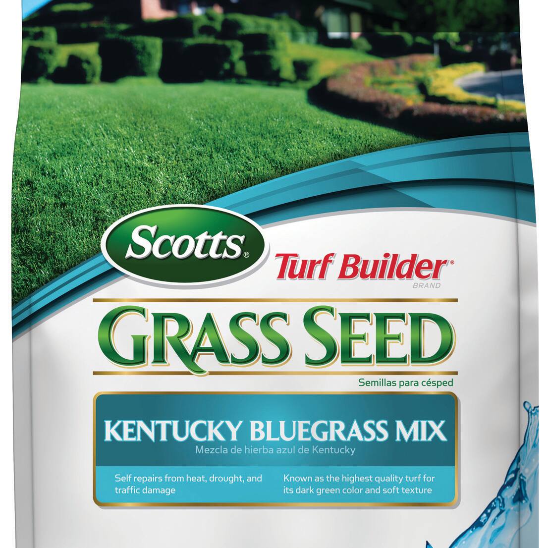 Image for Shop Kentucky Bluegrass Seed