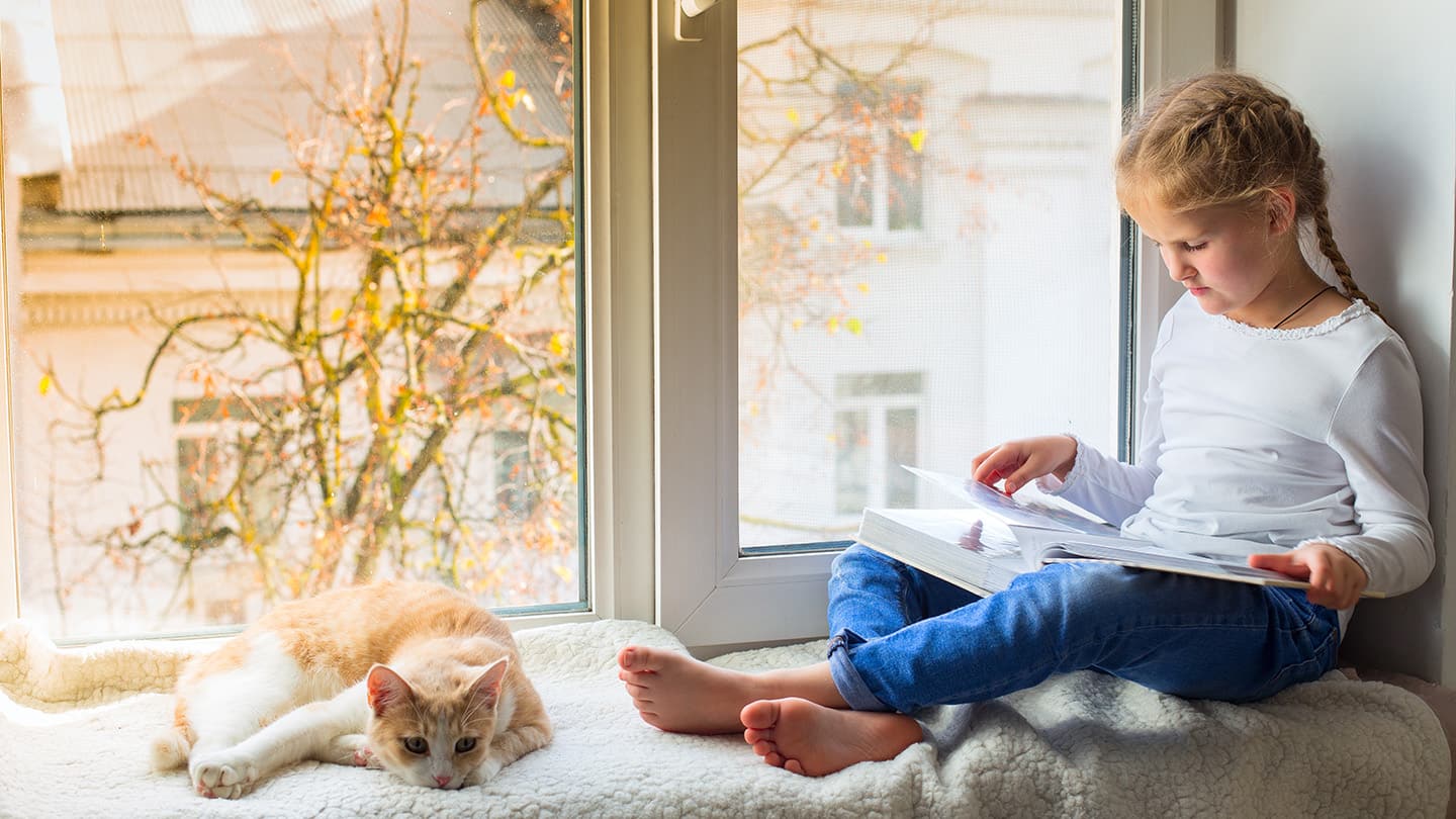 How to Weatherproof Windows