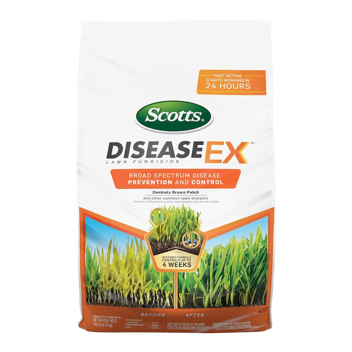 Lawn Disease Control