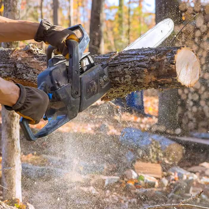 Must-Have Outdoor Power Tools
