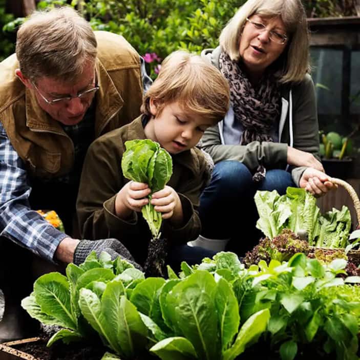 Fall Vegetable Gardening 101 