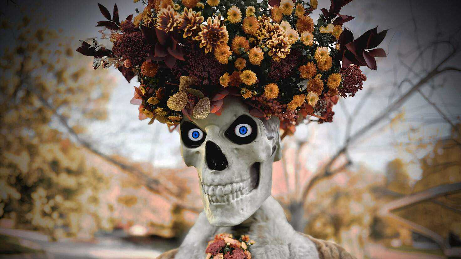 Image for Autumn Has Arrived